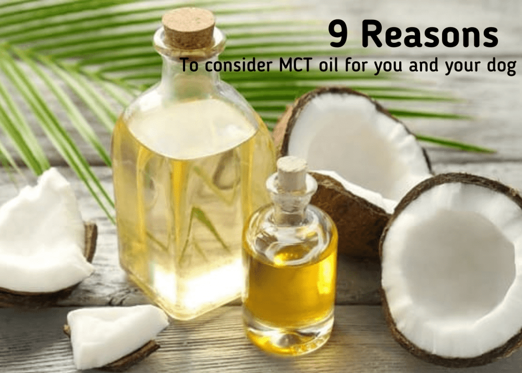 9 Reasons to consider MCT oil for you and your pet