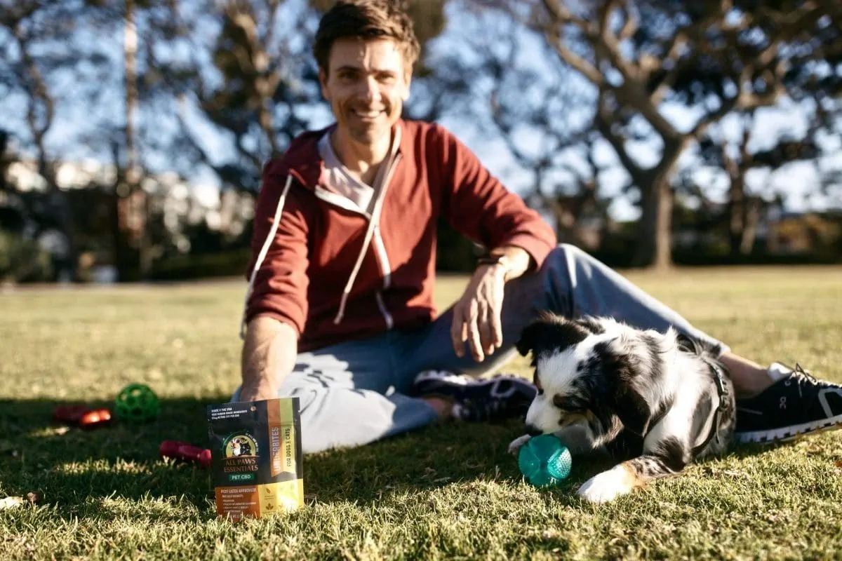 Best sales cbd treats